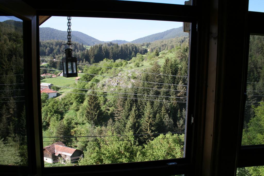 Guest House Kamenik Yagodina Quarto foto